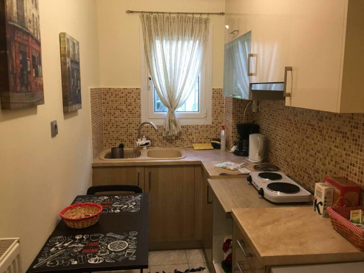 La Vie En Rose Studio,Close To Beach, Paleo Faliro Athén Kültér fotó