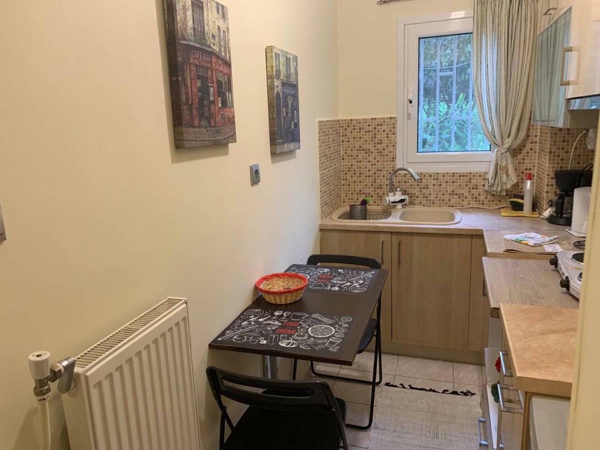 La Vie En Rose Studio,Close To Beach, Paleo Faliro Athén Kültér fotó